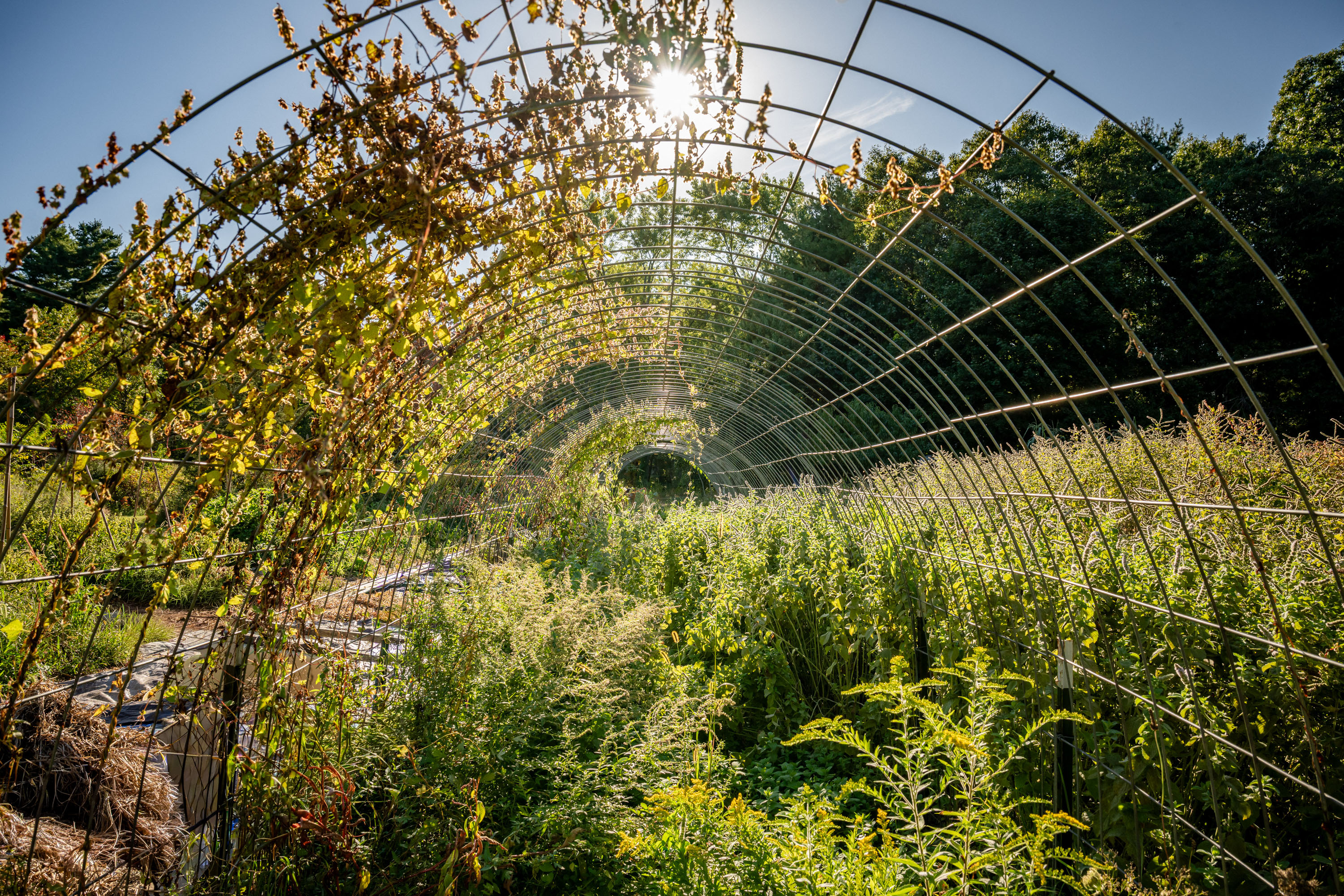 018 - Yoga at the Ashram - Randall Garnick Photography